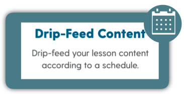 Drip-Feed Content - Solutions 2Grow